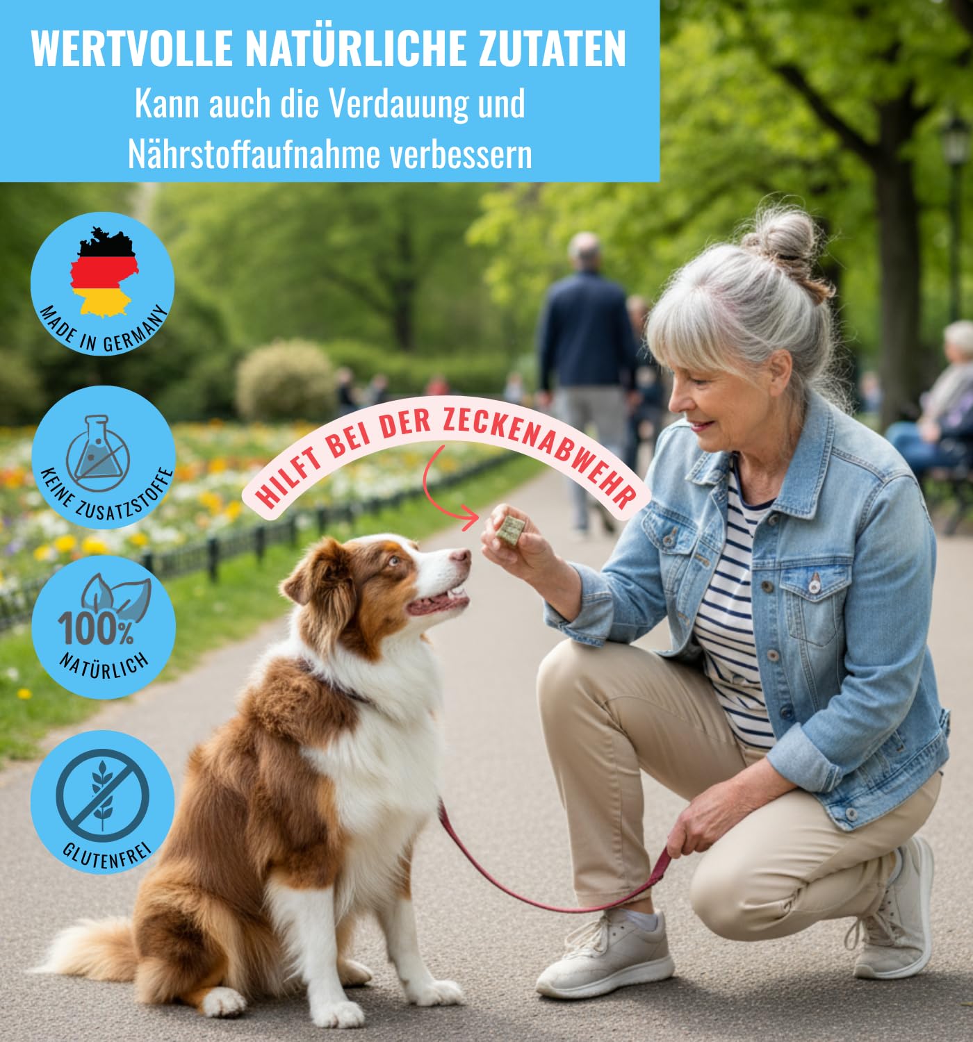 Fisch Leckerli Hundekuchen Riegelbox 6x300g mit Sardine, Brokkoli, Spirulina, Kokosöl & Bierhefe - Proteinreich, glutenfrei & ofengebacken - Für Fell, Haut & Immunsystem von RiNa leckerer Snack Hunde