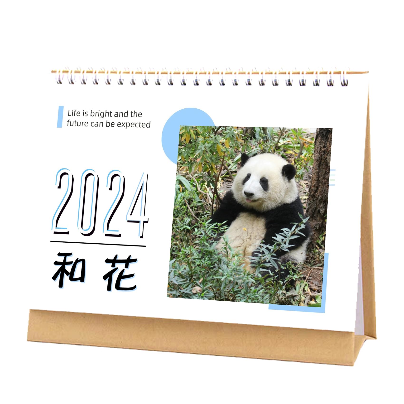 2024 Desk Calendar Cute Panda Monthly Flip Office Home Decor Standing Calendar 8.3" x 6.7"