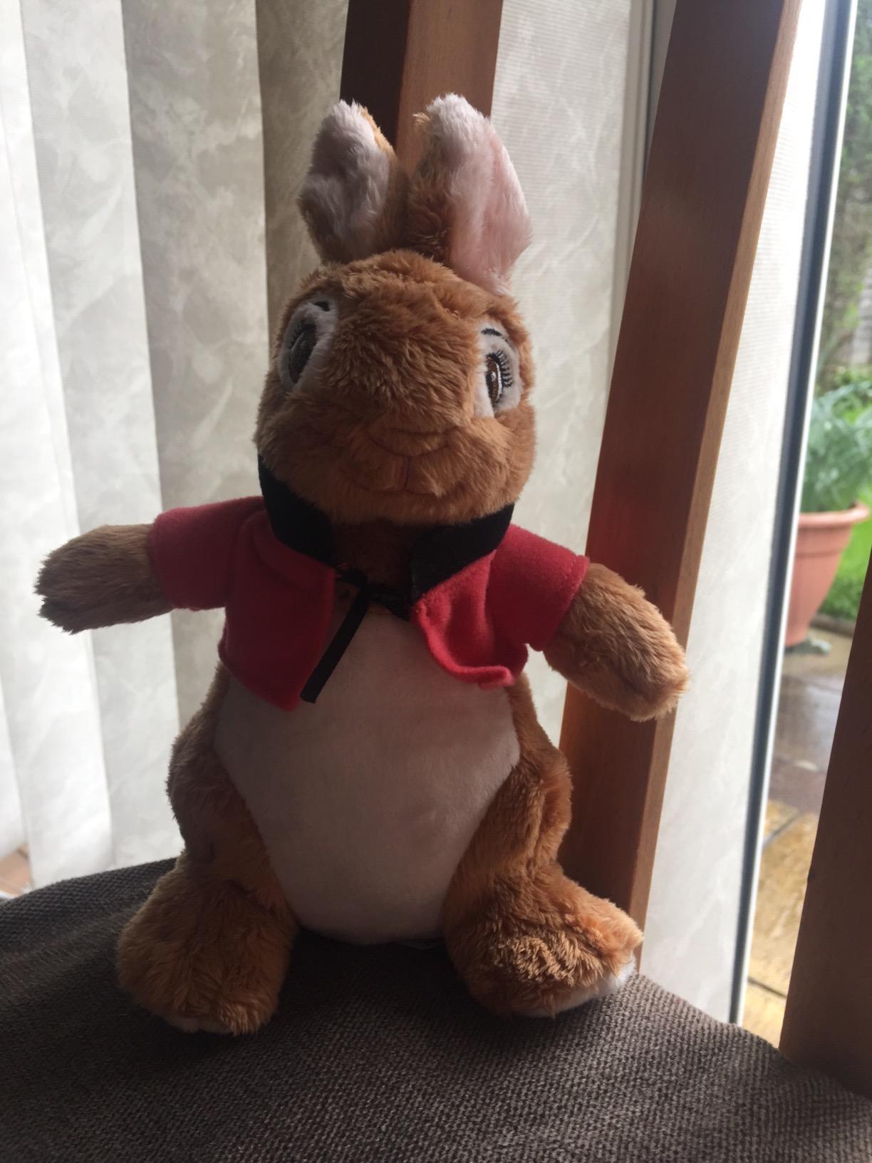 Official Peter Rabbit Movie Flopsy Bunny Soft Toy - Bunny Teddy by ...