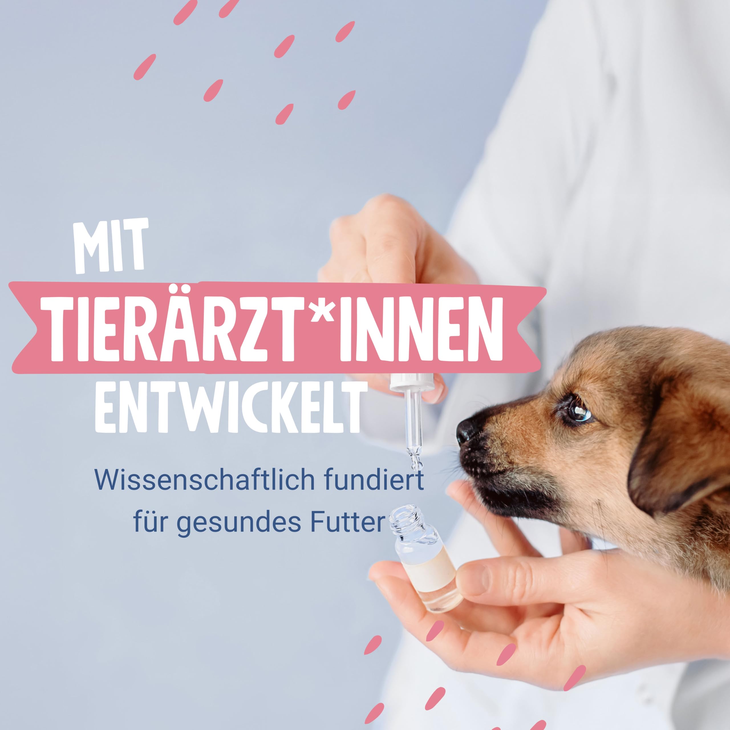 Pets Deli Sensitiv Trockenfutter für Hunde mit Pferd, Süßkartoffel, 6kg | Frisches Pferd hypoallergen, soft & weich für sensible Hunde, getreidefrei, ohne Zucker, Premium Qualität