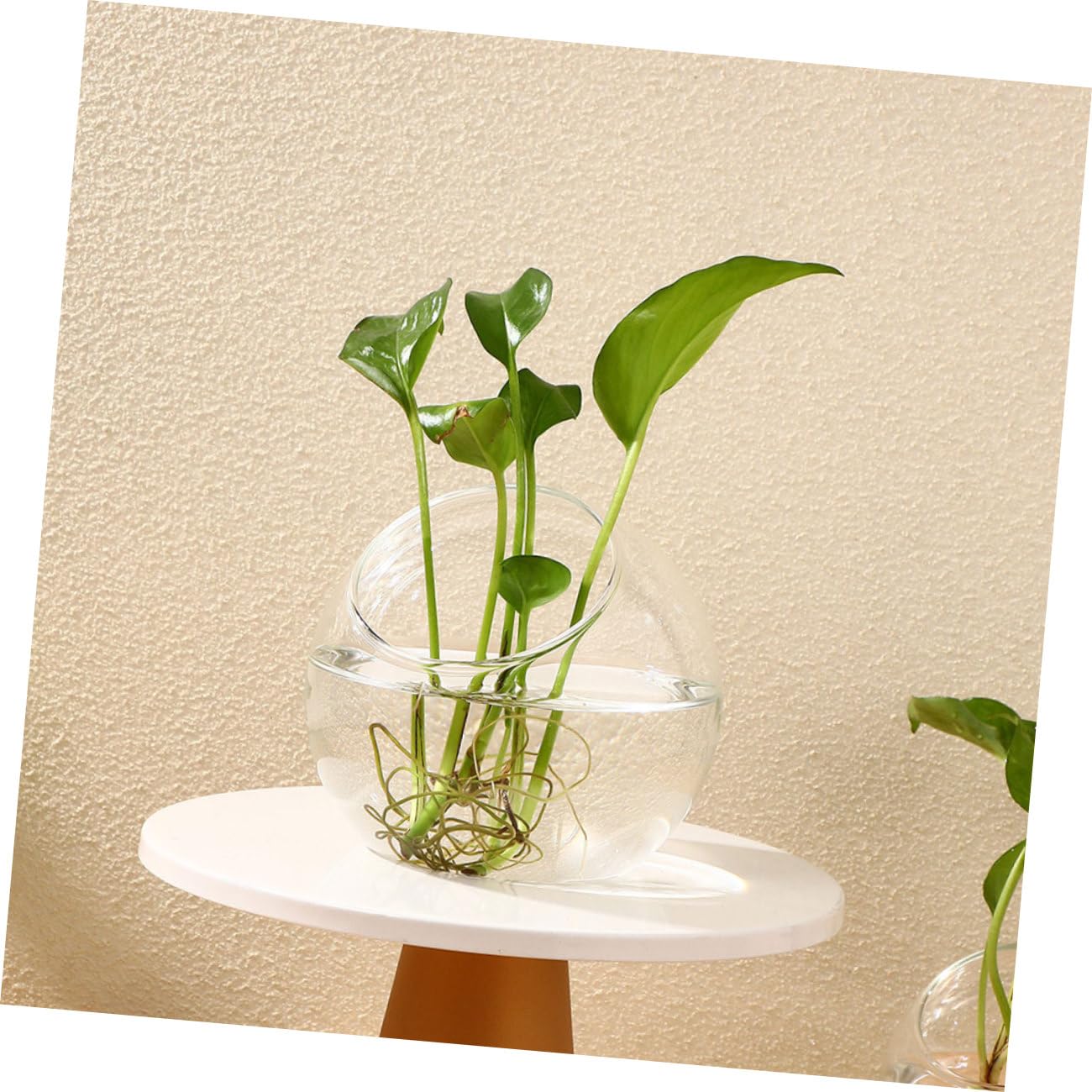 TOYANDONA Set 3 Pezzi Terrario di Vetro per Piante Grasse, Bottiglia Ecologica Trasparente Design Artistico, Contenitore per Micro Paesaggio e Decorazione Fai da Te per Interni