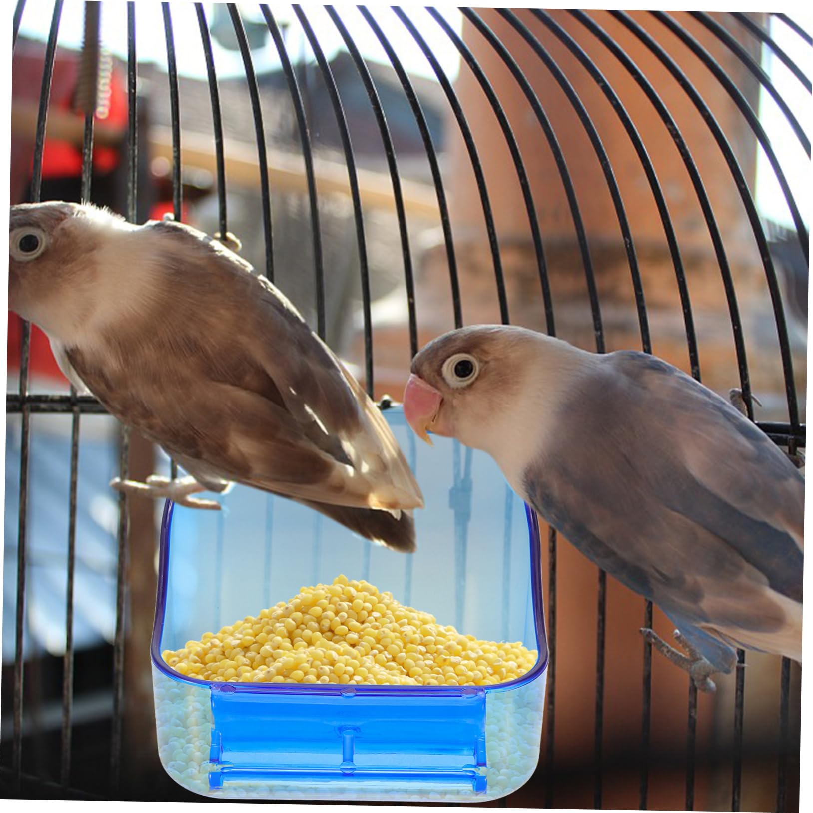 BESPORTBLE 4pezzi Bagno Per Uccelli Vasca Per Pappagalli e Uccelli Di Piccole Accessorio Per Gabbia Facile Da Installare