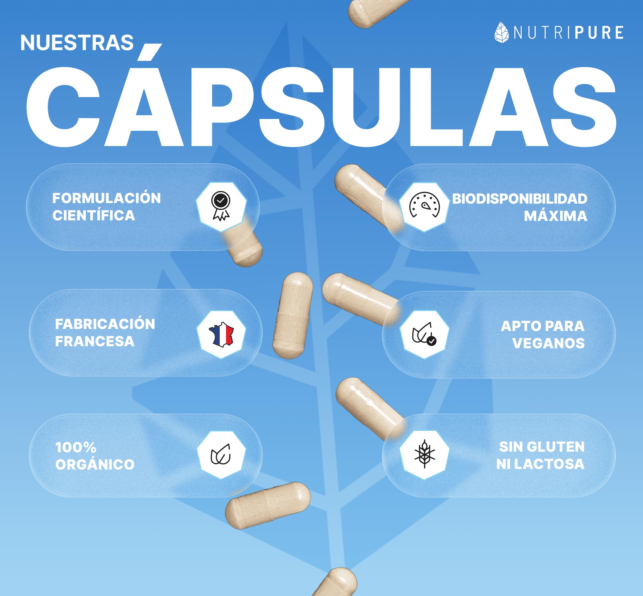 Nutripure | Ashwagandha Bio KSM66® | Planta Adaptógena del Ayurveda | Vegano | Complemento Alimentario Bienestar Intelectual y Físico | Estrés, Ansiedad | 60 Cápsulas | 1 Mes | Fabricado en Francia