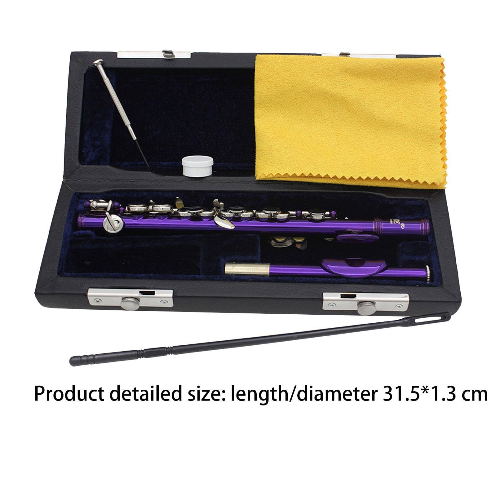 Flauto piccolo in chiave di Do, include custodia rigida e accessori, strumento musicale per esibizioni bandistiche, strumento tradizionale a 16 fori, Viola, 31.5x1.3 centimetri