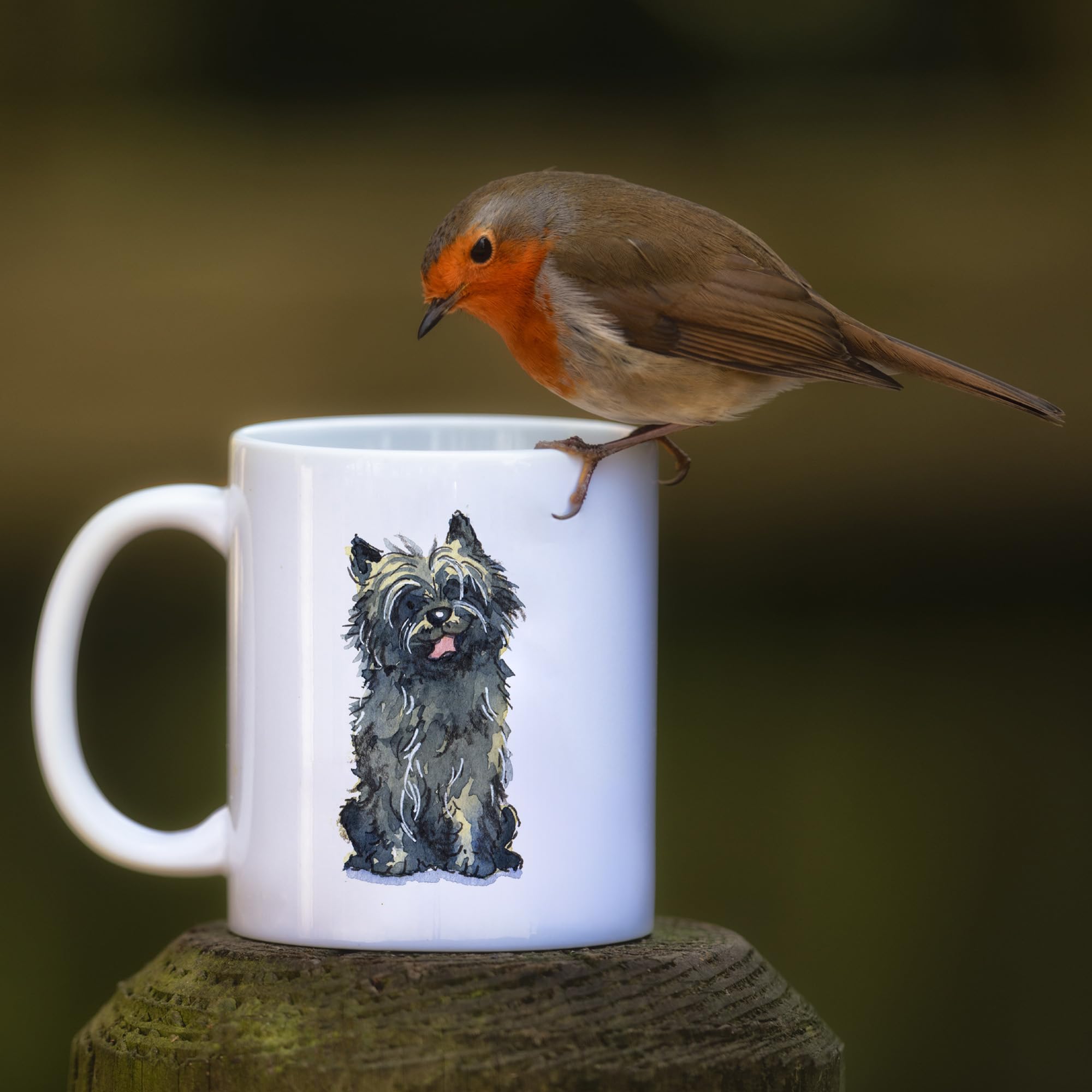View 2
