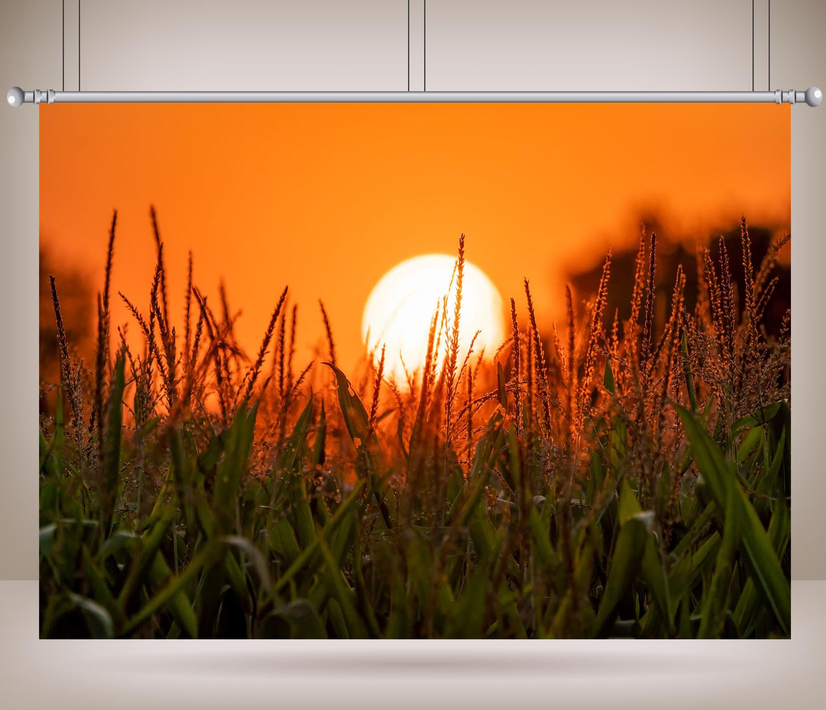10x6.5FT (3x2m) Campo Di Mais Al Tramonto Sfondo Fotografico