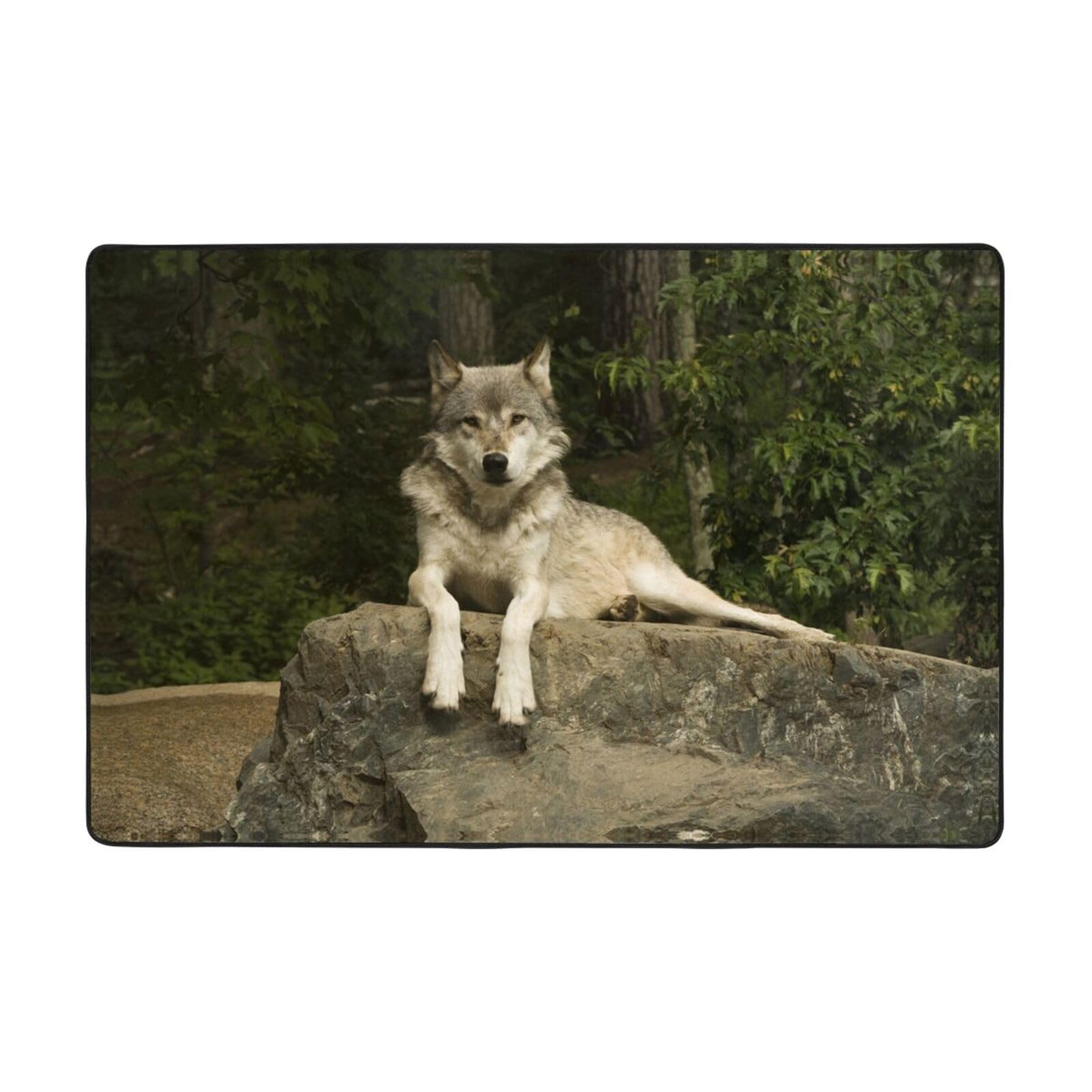 Tapis loup gris flanelle pour éliminer l'humidité au sol de la salle de bain