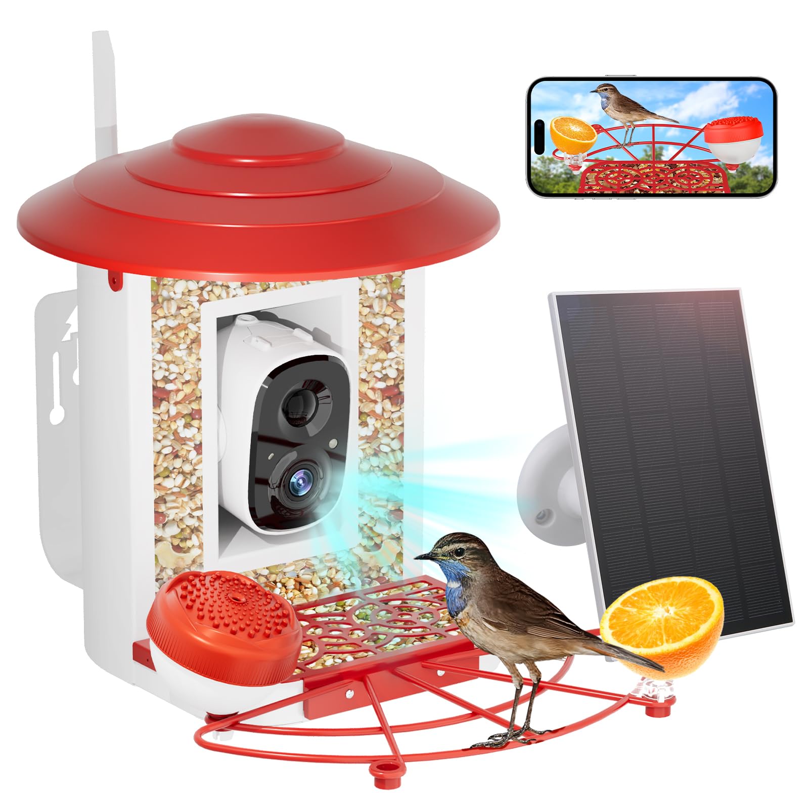 Camii Bird Feeder Cameras 2K HD AI Identify Bird Species Camera Bird Feeder Auto Capture Bird& Motion Detection for Watching, Smart Solar-Powered Camera Bird Feeders Present for Bird Lovers