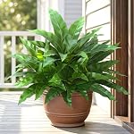 Fake Ferns Faux Outdoor Plants, 3D Real Touch Artificial Ferns for Outdoors, Fake Plants Indoor for Home Decor, Ferns Artificial Bush Plants for Garden Porch Office Living Room Decor (6PCS)