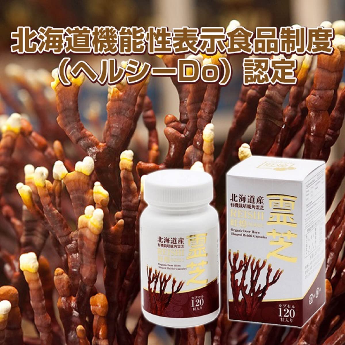 Amazon | 鹿角霊芝カプセル 旺煌 120粒 | 旺煌 | シャンピニオン