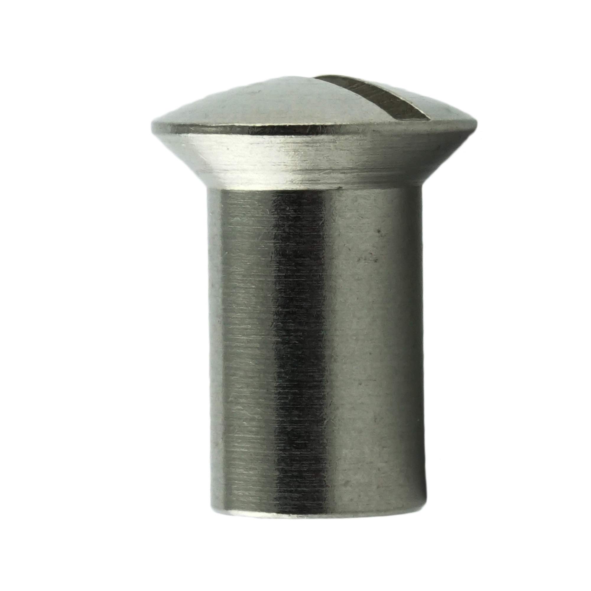 AGBERG - Tuercas de casquillos con cabeza lenticular y ranurada (acero inoxidable VA A1 V1A, M8 x 20 mm, 100 unidades)