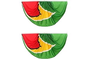Half Fan Guyana Flag Commemorative Decoration!
