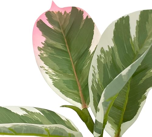 Miniatura 10 de Árbol artificial en macetero con patrón de flores, eucalipto falso de seda para decoración del hogar en interiores y exteriores, altura total 66