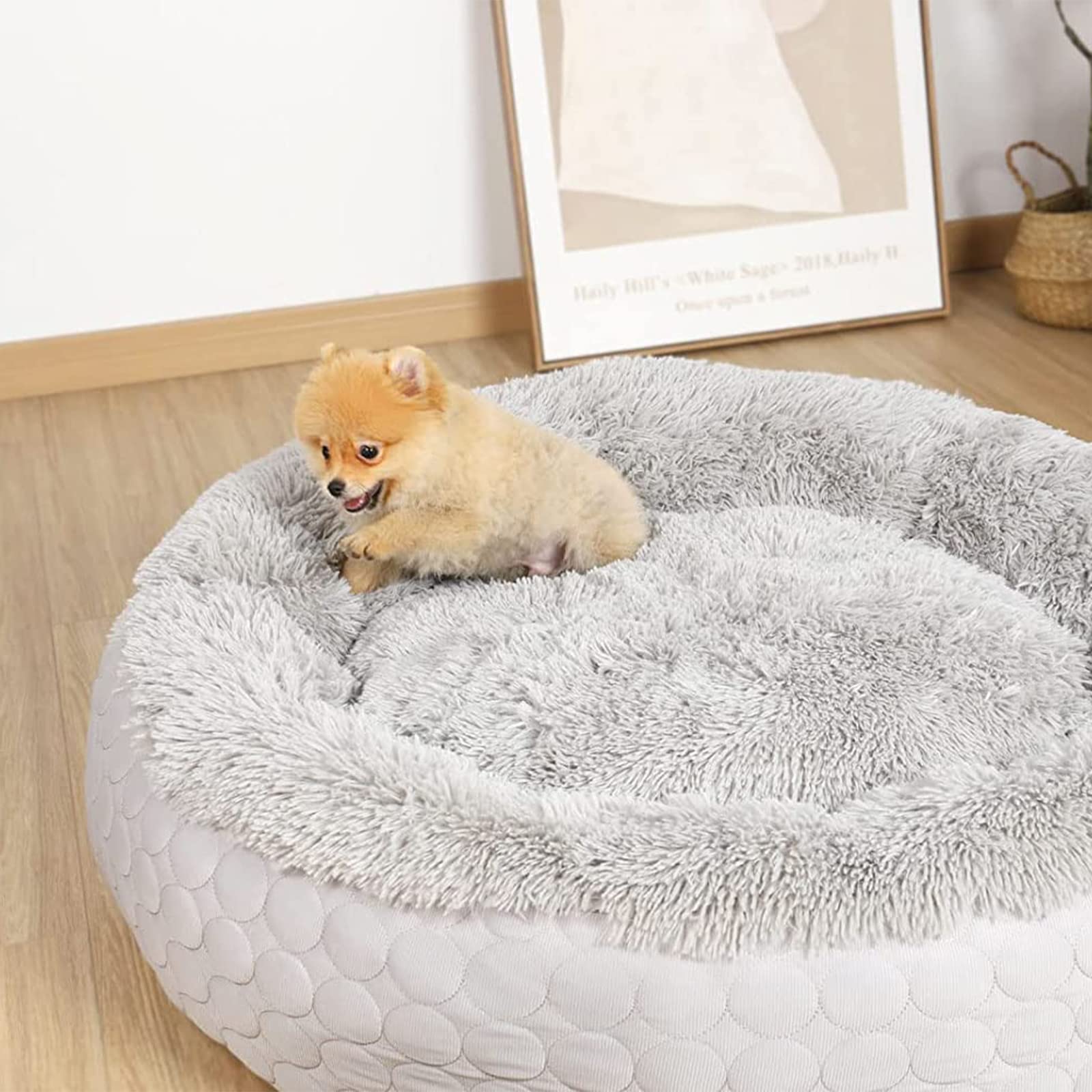 ANWA Donut Hundebett – Kühlend & Wärmend, Doppelseitig | Für Mittelgroße & Große Hunde, Weich & Kuschelig Mit Erhöhtem Rand