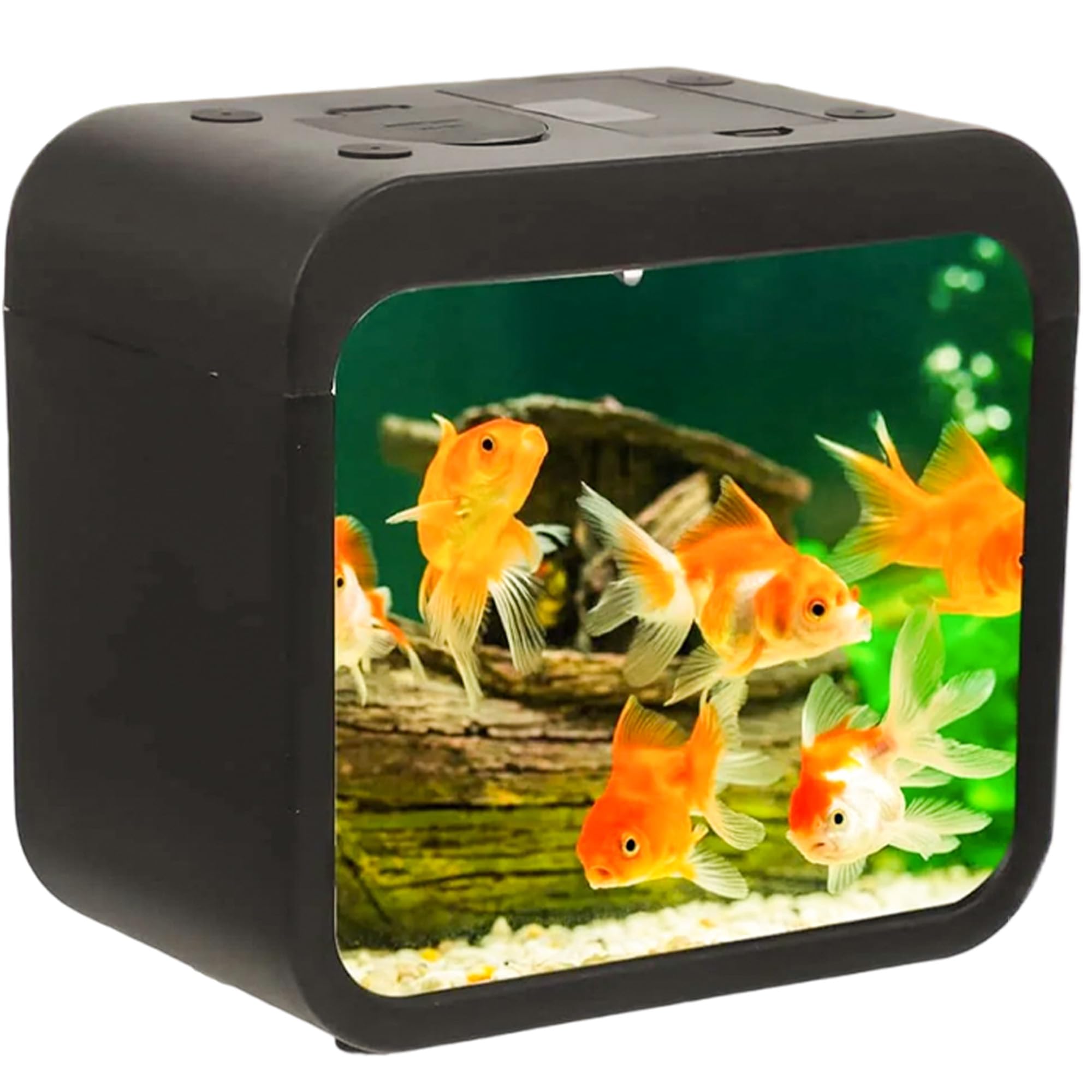 LED Light Mini Fish Tank for Office and Home - Compact Stylish Fish Aquarium Tank for Home Decor & Table Decor | Desktop Aquarium Tank for Betta Fish - Office Fish Tank- Black (B0DH4YXWBR) Amazon Price History, Amazon Price Tracker
