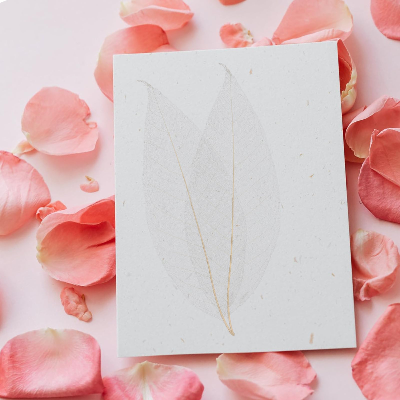 400 Pièces Feuilles Squelette De Magnolia Naturelles - Feuilles Séchées Pour Scrapbooking, Décoration Et Art
