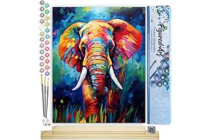 Figured Art Paint by Number for Adults Colorful Abstract Elephant Canvas