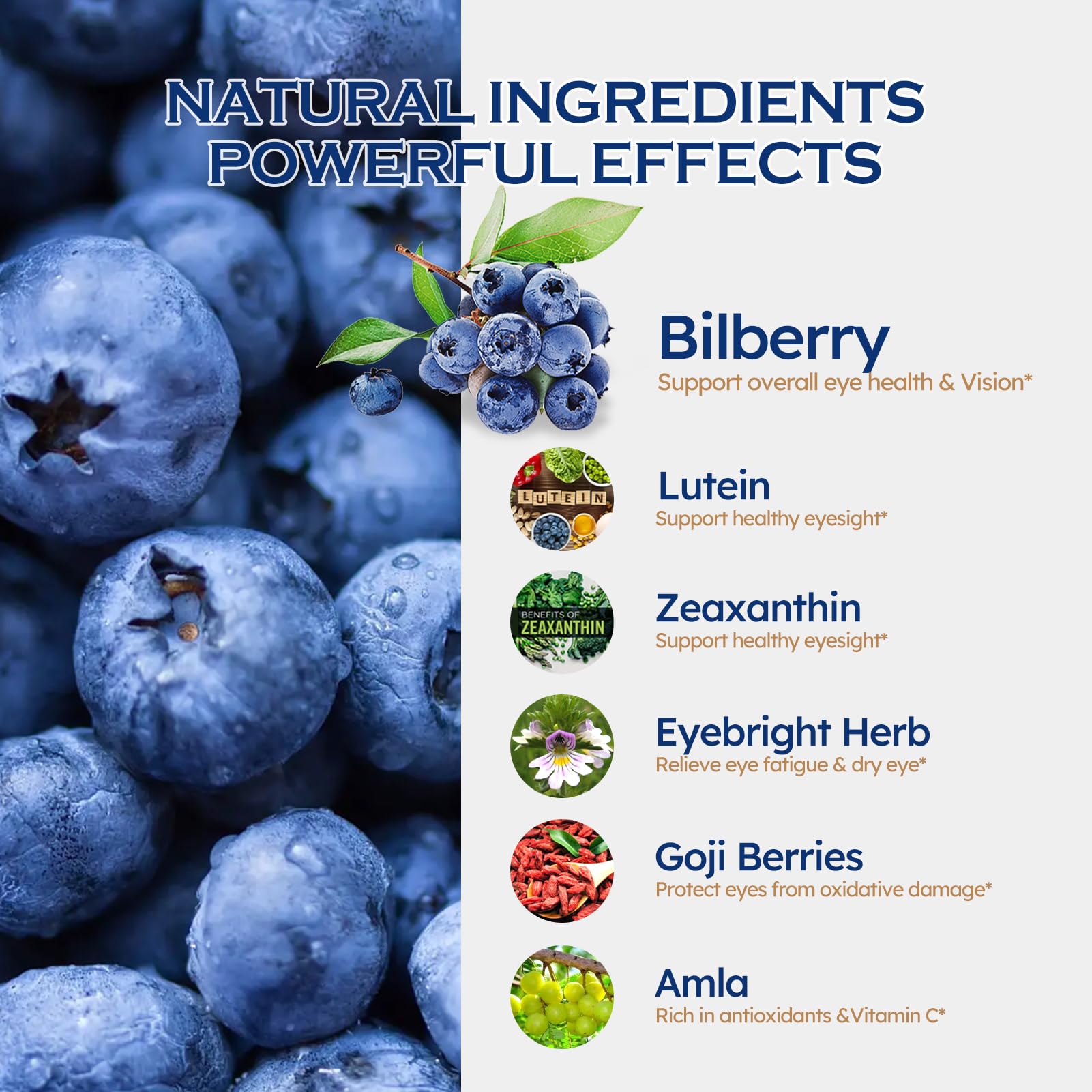 Bilberry Extract Supplement for Eye Health, Liquid Drops 2oz — Amazon image 3