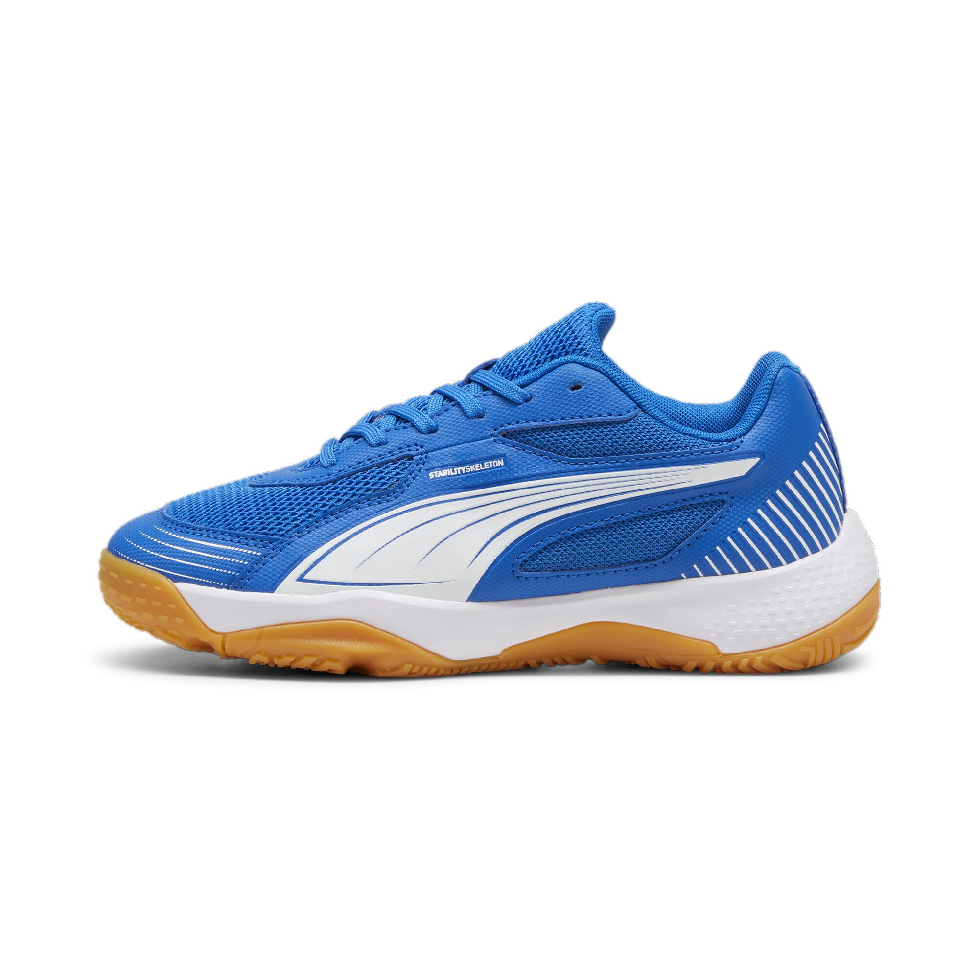 Puma Unisex Kinder Solarflash III JrIndoor Court Shoe