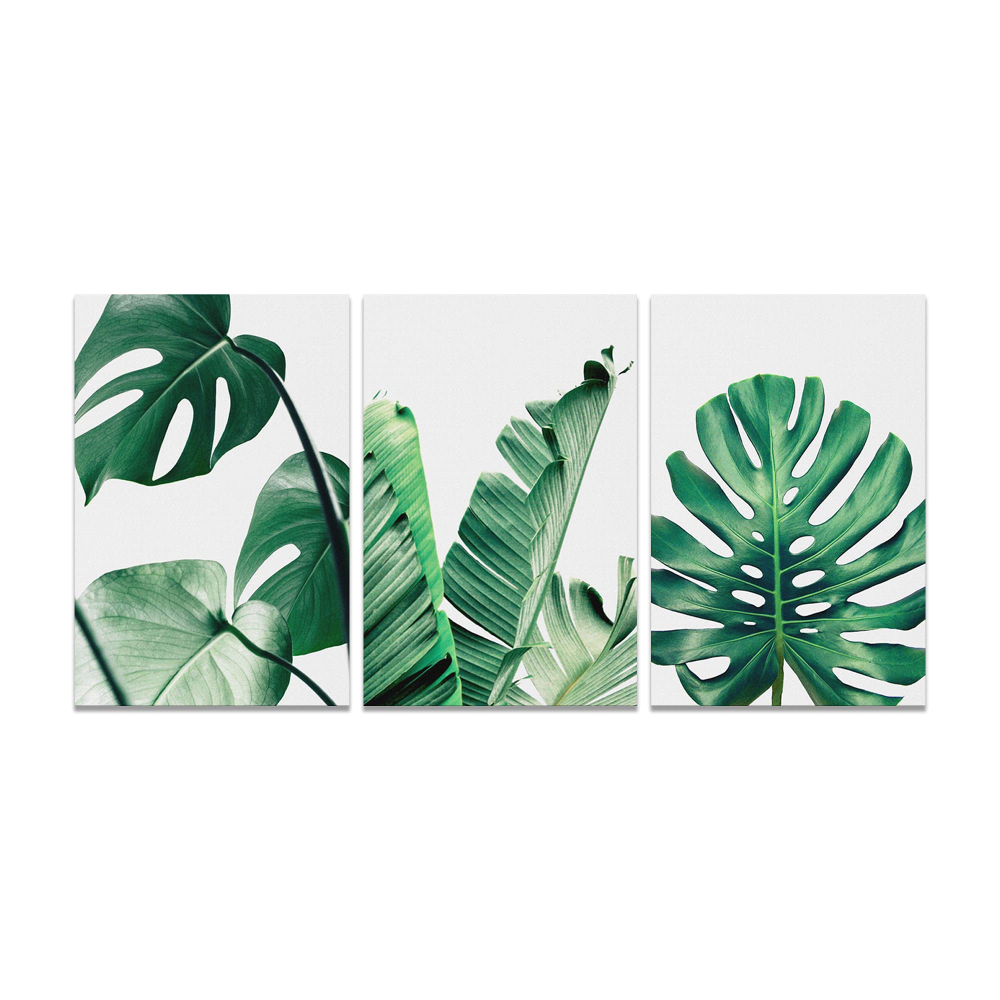 Green Leaves Art Panel Scandinavian Plants Painting Green Plants Green Plants Decoration Landscape Photography Entryway Good Luck Bath Picture Framed Finished Product (11.8 x 15.7 x 16.7 x 3 Pcs)