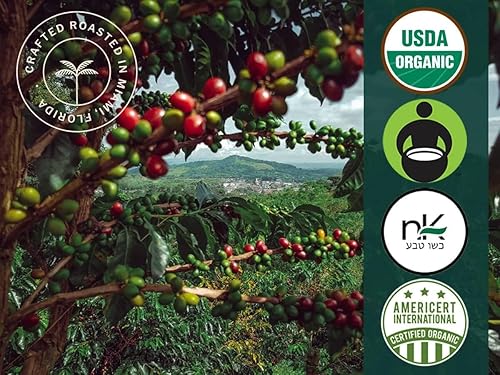 Vista 2 de Artizan Coffee USDA - Café molido orgánico Fusión de café de cáñamo tostado medio oscuro Molido medio para goteo 10 onzas Tostado