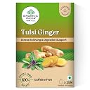 A TATA Product - Organic India Tulsi Ginger - 25 Tea Bags, Rich in Antioxidants, Supports Digestion, Stress Relieving, Helps Boost Metabolism, Caffeine-Free, Whole Herbs Certified Organic gallery image