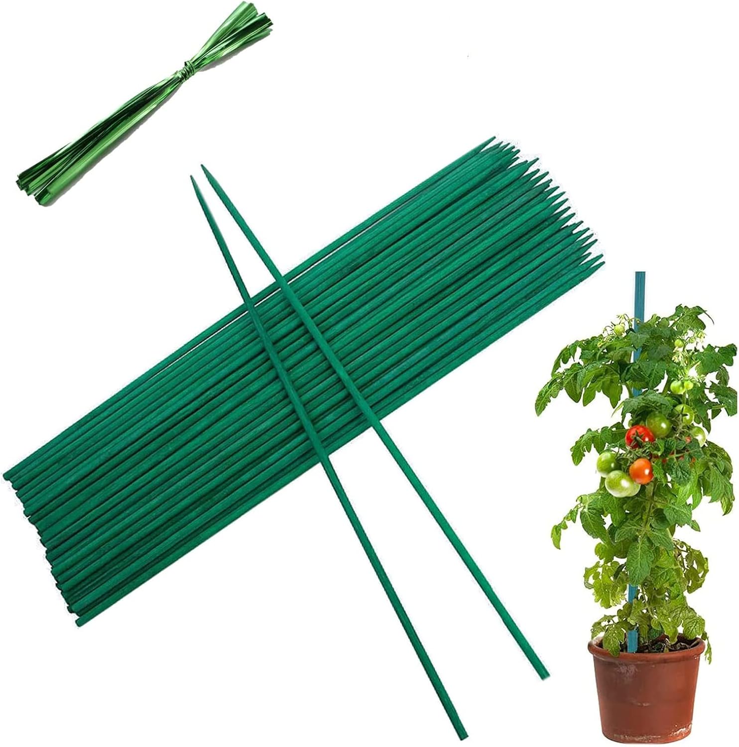 SYCARON Plant Support Sticks, 60 Pcs Garden Stakes 15 Inches Wooden