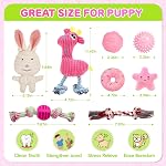 8 Pack de jouets pour chiots de luxe pour les chiens de dents, jouets pour chien avec des jouets pour chiens, des boules et des jouets à croquer pour chien, jouets de chien pour les garder occupés (Pink)