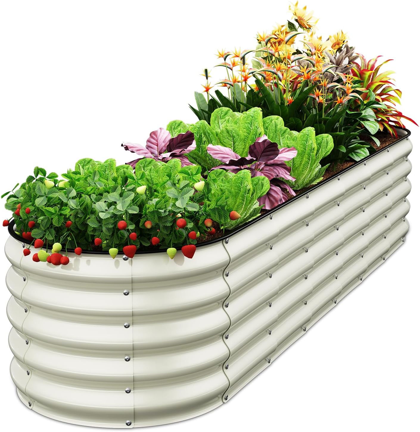 Pattiumo Oval 8x2x1.5 FT Galvanized Raised Garden Bed Kit, 31 in 1 Large Metal Planter Box for Outdoor Gardening, 18” Garden Bed for Vegetables Flower Herb(Pearl White)