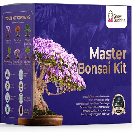 Master Bonsai Kit - Bonsai Plant Growing Kit - Professional Growing and Styling Bonsai Set - Japanese Bonsai - Become Bonsai Master - Ideal Bonsai Tree Seed Kit for Indoor Garden Gardening - Master Bonsai kit