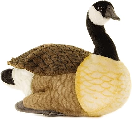 canada goose uk amazon