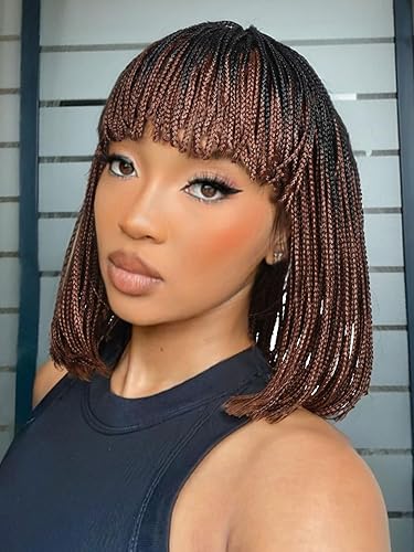 Fancy Hair Braided Wigs for Black Women Short Box Braid