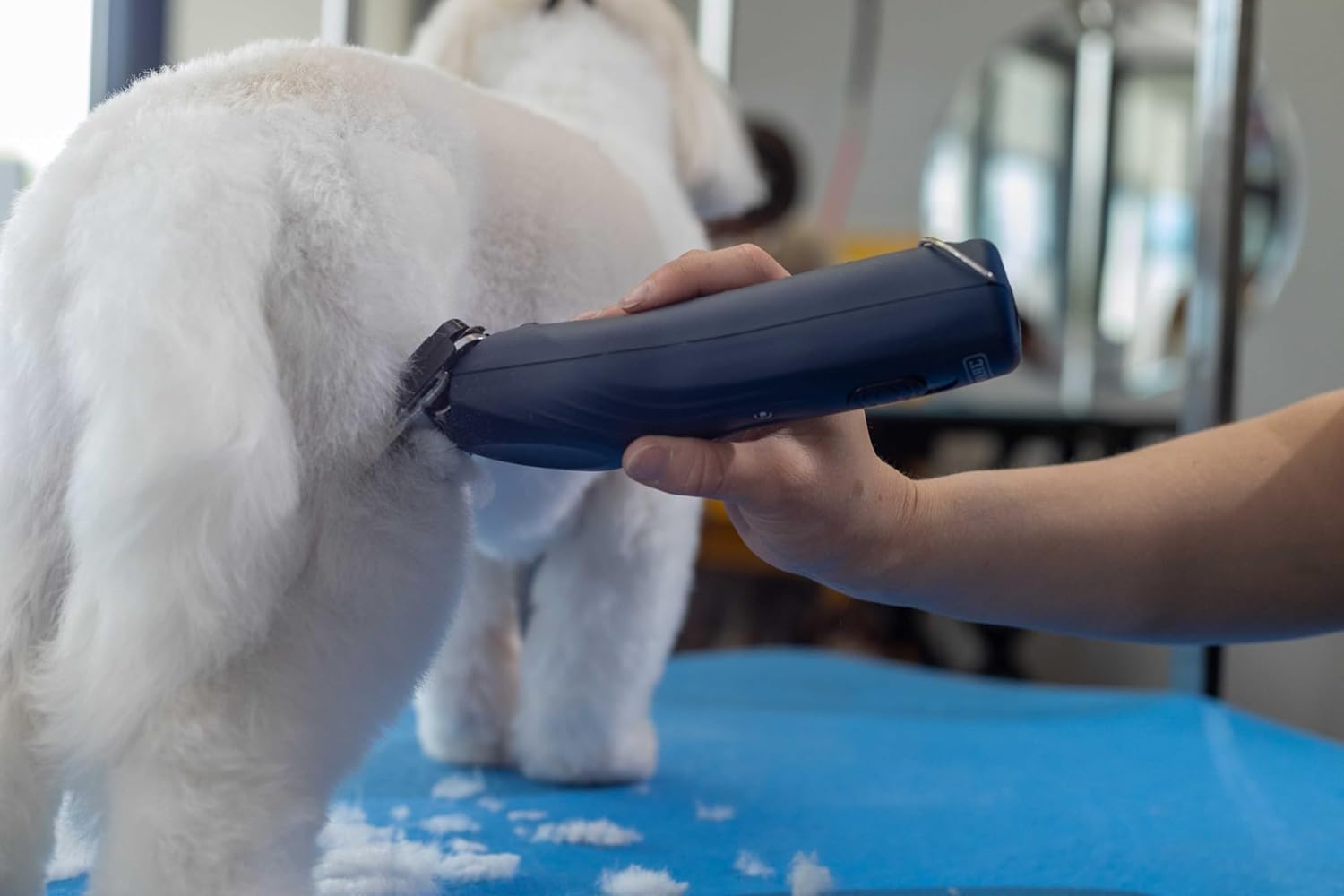 Wahl Professional Animal KMC+ 2-Speed Cordless Clipper (3027168) - Detachable Blade Pet & Dog Clipper Kit - Patented Ergonomic Housing Design - Navy