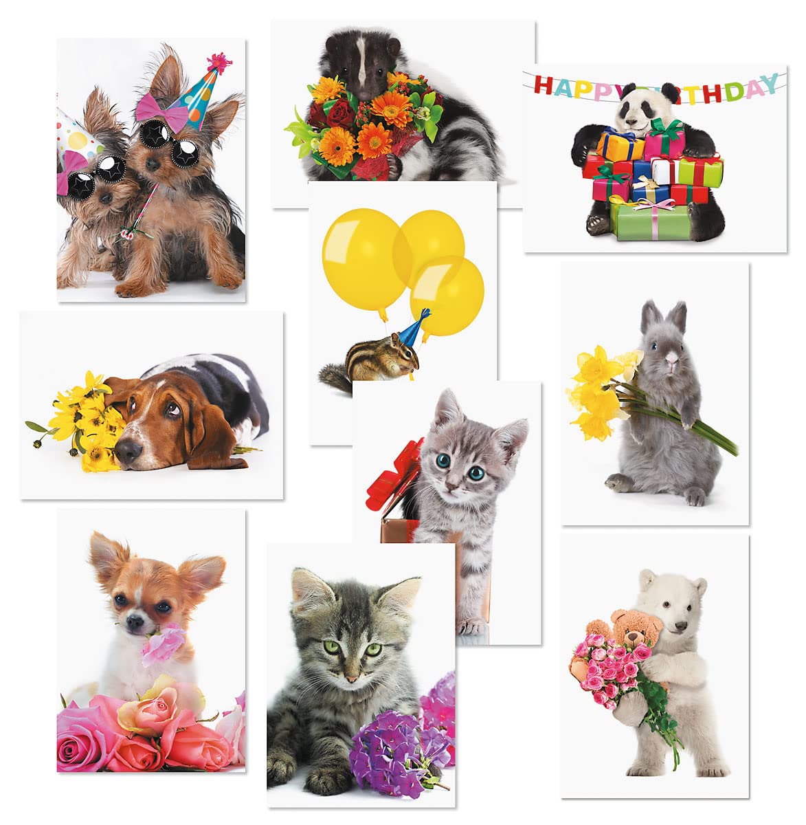 Current Big Bouquet Animal All Occasion Value Pack - 20 Cards With Envelopes, Celebration, Get Well, Sympathy, Birthday, Anniversary & Thinking of You