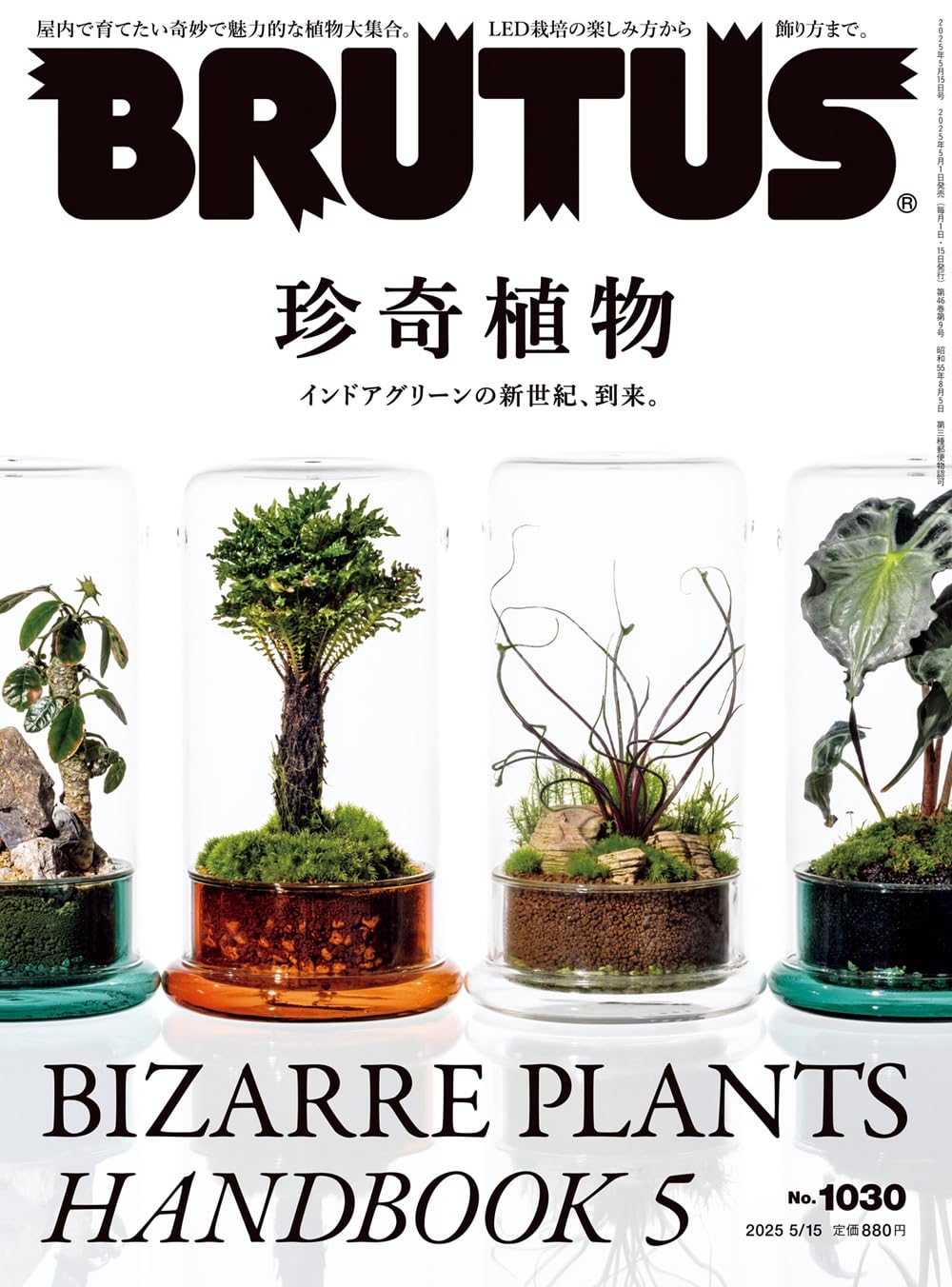 BRUTUS(ブルータス) 2025年 5月15日号 No.1030[珍奇植物] | BRUTUS編集 