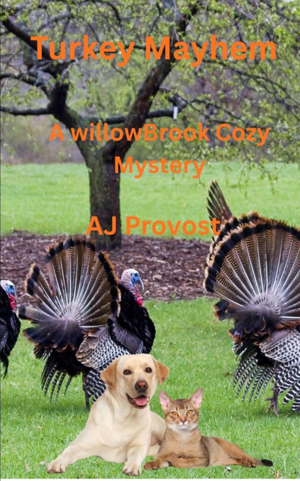 Turkey Mayhem: A WillowBrook Cozy Mystery