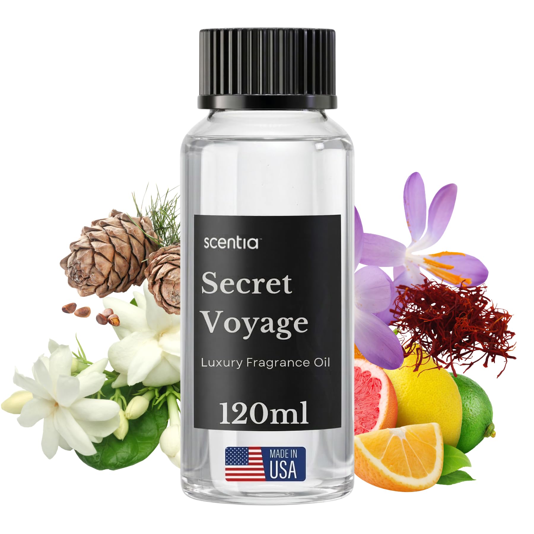 Scentia Secret Voyage Premium Amber Fragrance Oil for Diffusers – Luxury Warm Spicy Home Scent with Jasmine, Saffron, Cedar & Ambergris – Cold Air &