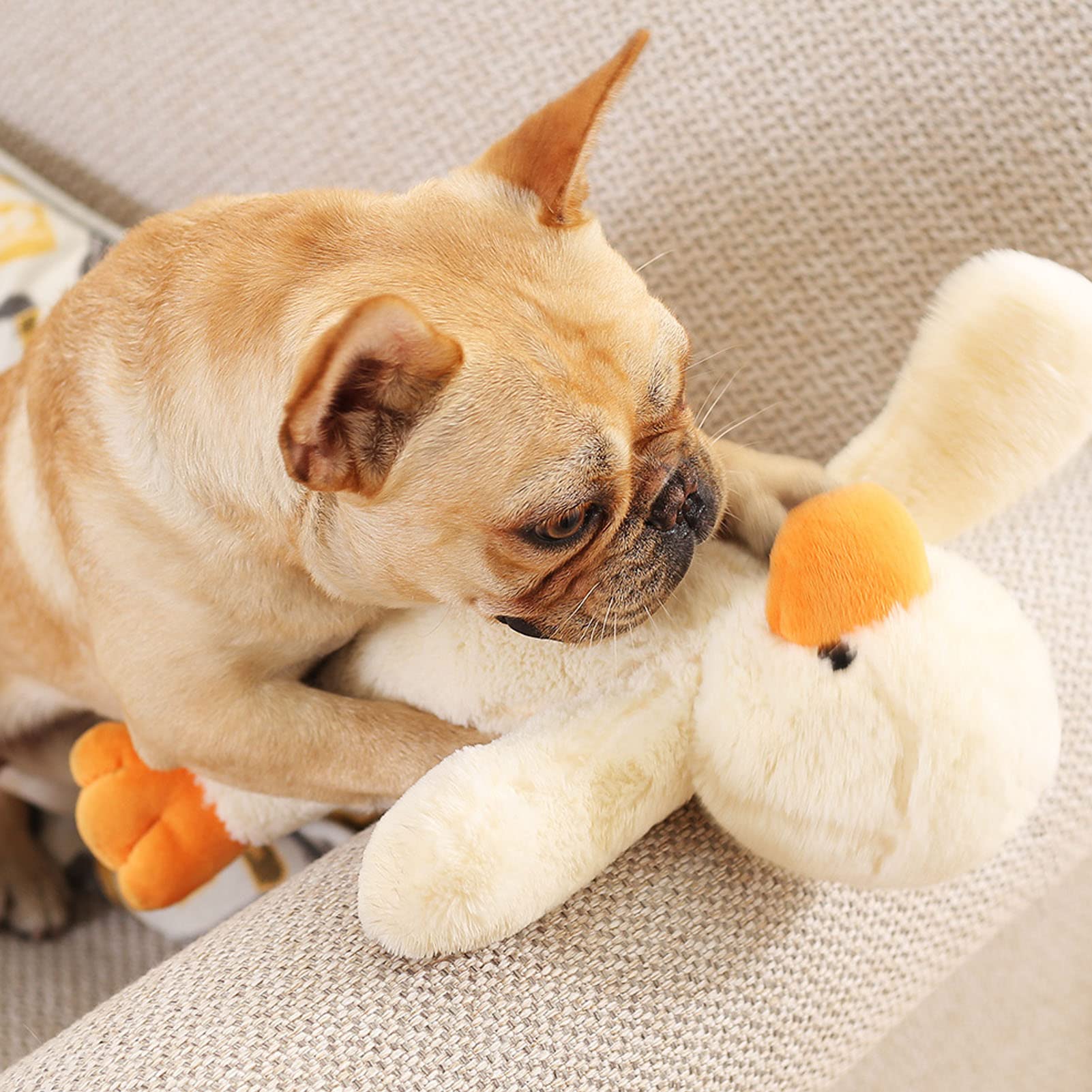 Qcwwy Dog Toys - Image 2