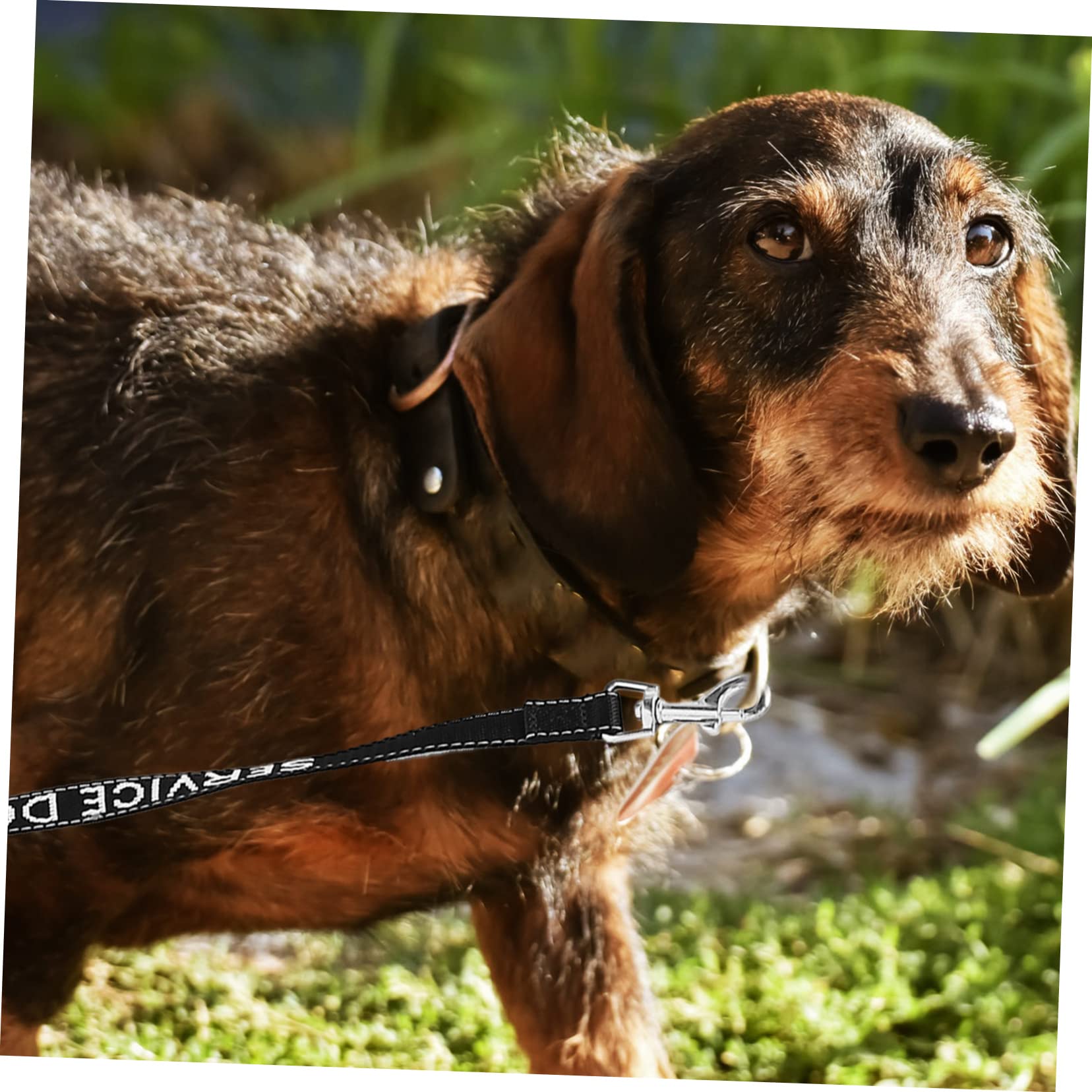 FOMIYES 5piezas Correa De Perro De Servicio Arnés Cuerda Conveniente para Mascotas para Paseos y Entrenamiento