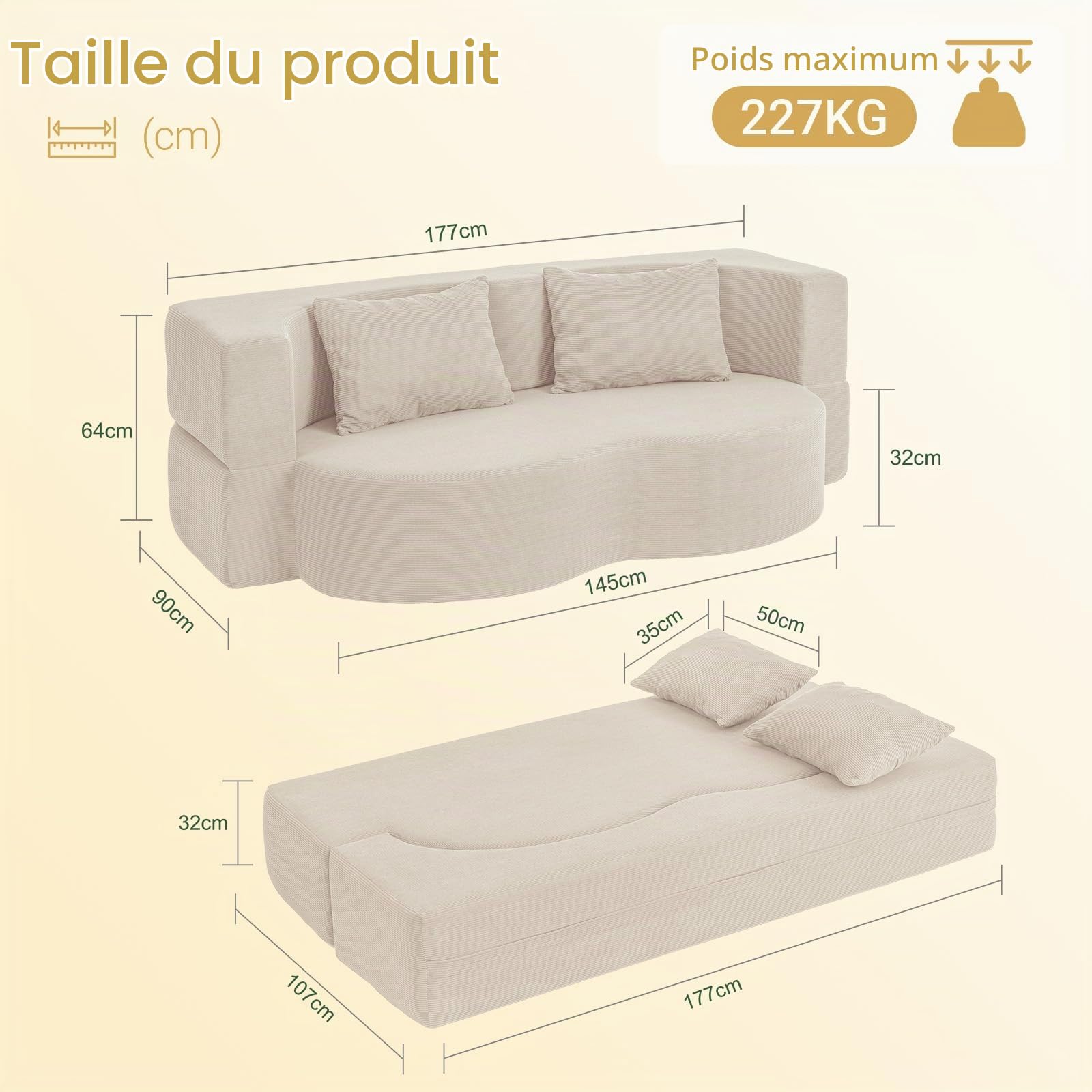 SoBuy Canapé lit Convertible canape 2 Places avec 2 Coussins