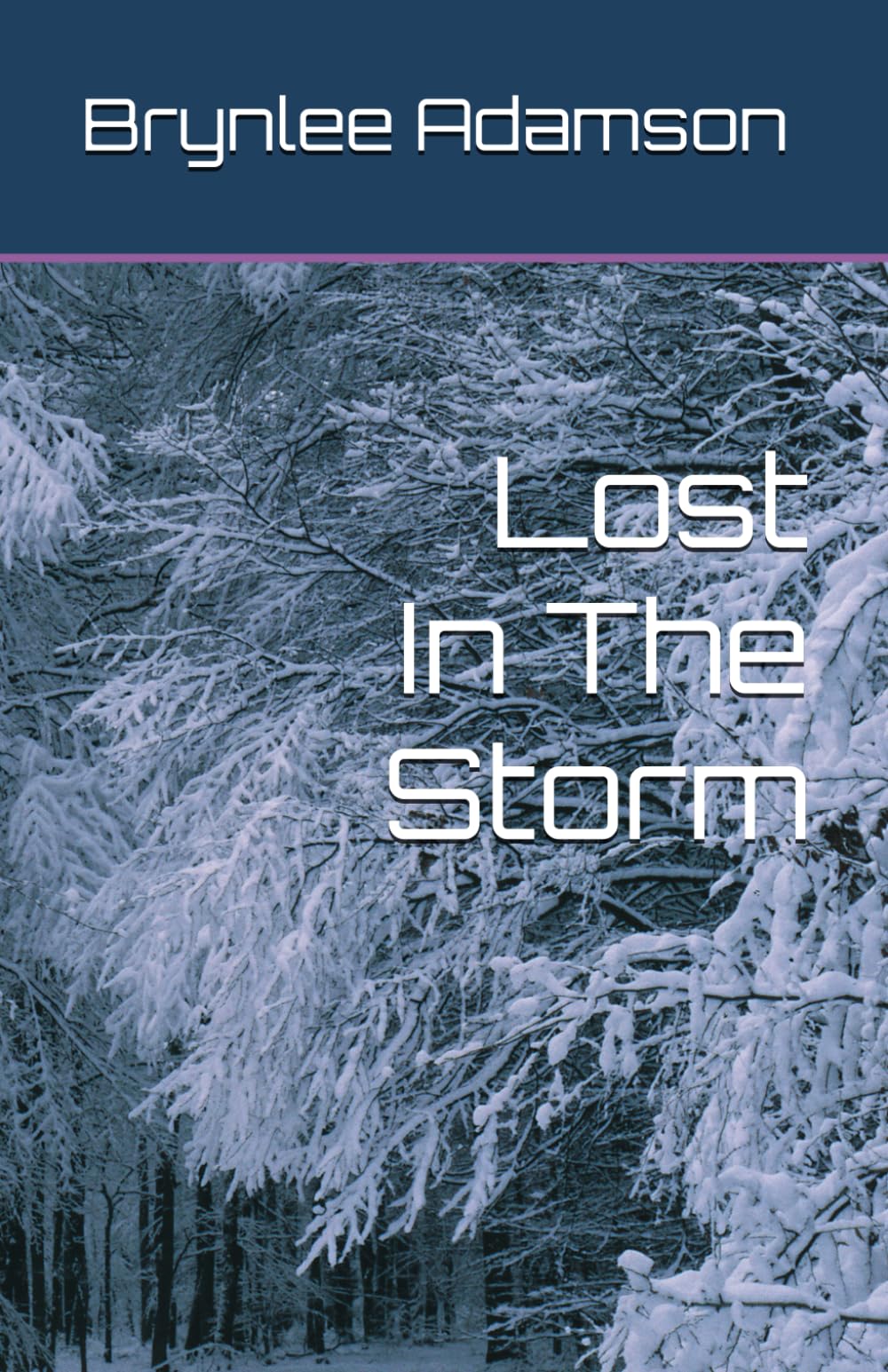 Lost In The Storm