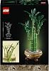 LEGO Botanicals Şans Bambusu 10344 – Yetişkinler için Bambu Sapları, Çakıl Taşları ve Ahşap Efektli Saksı İçeren Sevgililer Günü'ne Özel Dekoratif Bitki Modeli Yapım Seti (325 Parça)