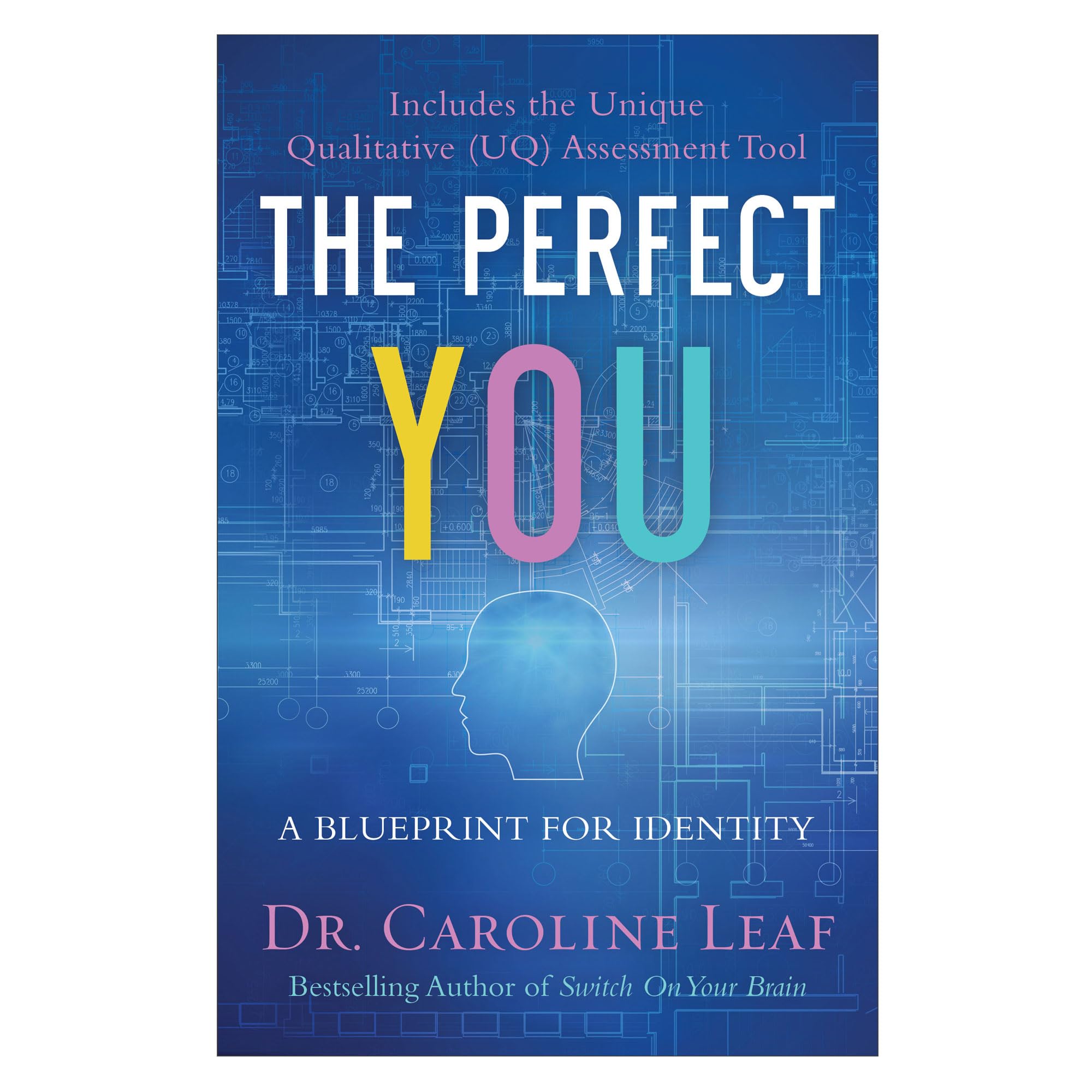 Perfect You: A Blueprint for Identity