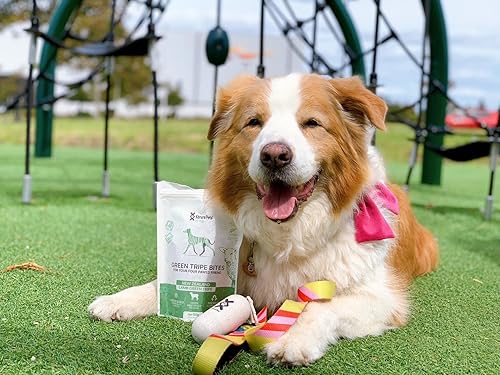 Miniatura 6 de Mordeduras de tripa verde para perros