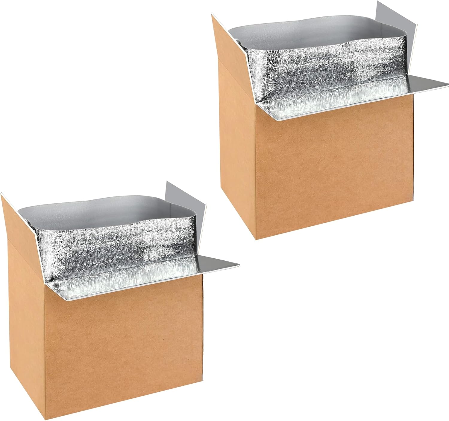 Simple Deluxe 2 Pack Insulated Shipping Boxes with Aluminum Foil Liner,Thermal Insulation Cold Pack Shipping Boxes for Frozen, Reusable Styrofoam Cooler Box, Small Mailing Box, 19''x12''x16'' 2-pack Large