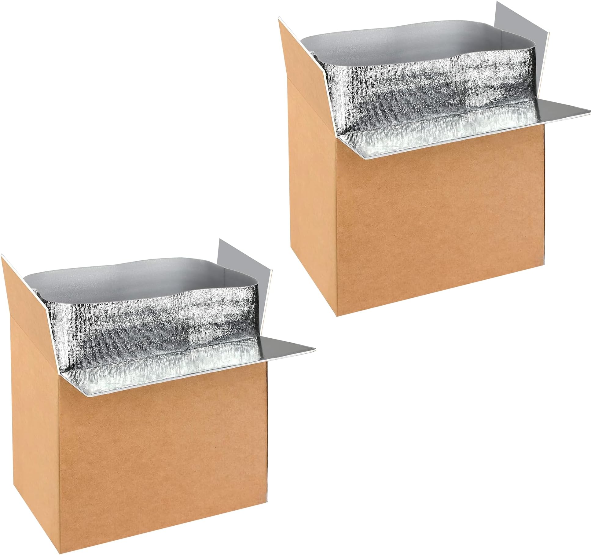 YSSOA 2 Pack Insulated Shipping Boxes with Aluminum Foil Liner,Thermal Insulation Cold Pack Shipping Boxes for Frozen, Reusable Styrofoam Cooler Box, Small Mailing Box, 19’’ x 12’’ x 16’’