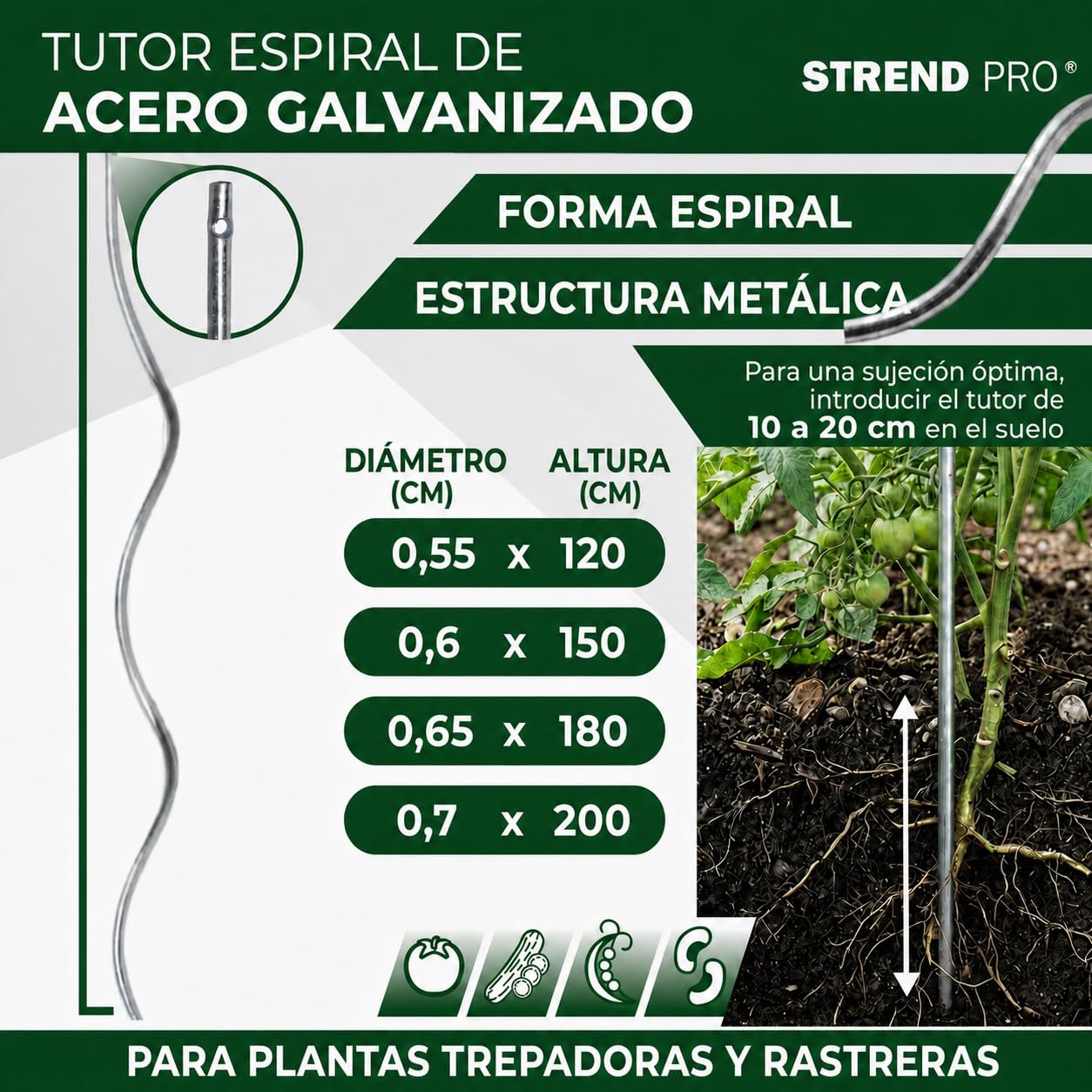 STREND PRO Tutores Espirales para Tomates 180 cm, Pack de 25 | Ø 6,5 mm, Acero Galvanizado | Soporte para Plantas Trepadoras
