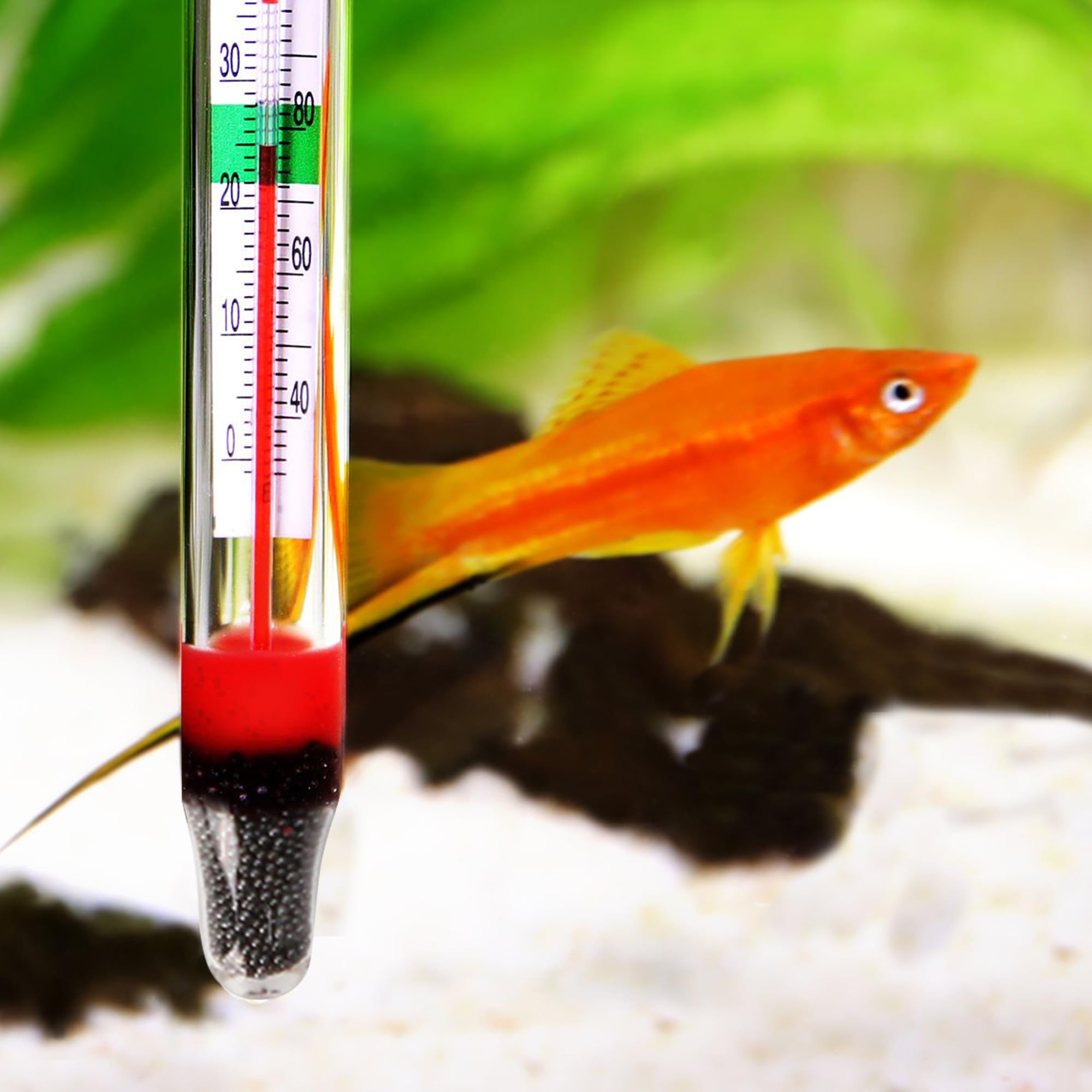Aqua One Aquarium Glass Thermometer #10306 Fish Tanks