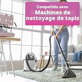 Dirtbusters Carpet Shampoo Cleaner Solution (5L) Clean & Deodorise With Stain Cleaning Remover And Odour Treatment, Spring Fresh - 5