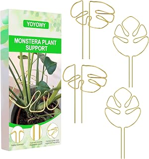 Monstera Plant Support,Unique Monstera Shaped Plant Support Ring,Plant Support Stakes for Outdoor Plants and Indoor Plants (Gold 4pcs)